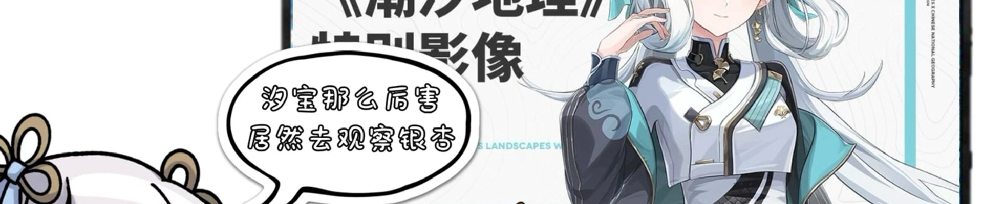 服务项目